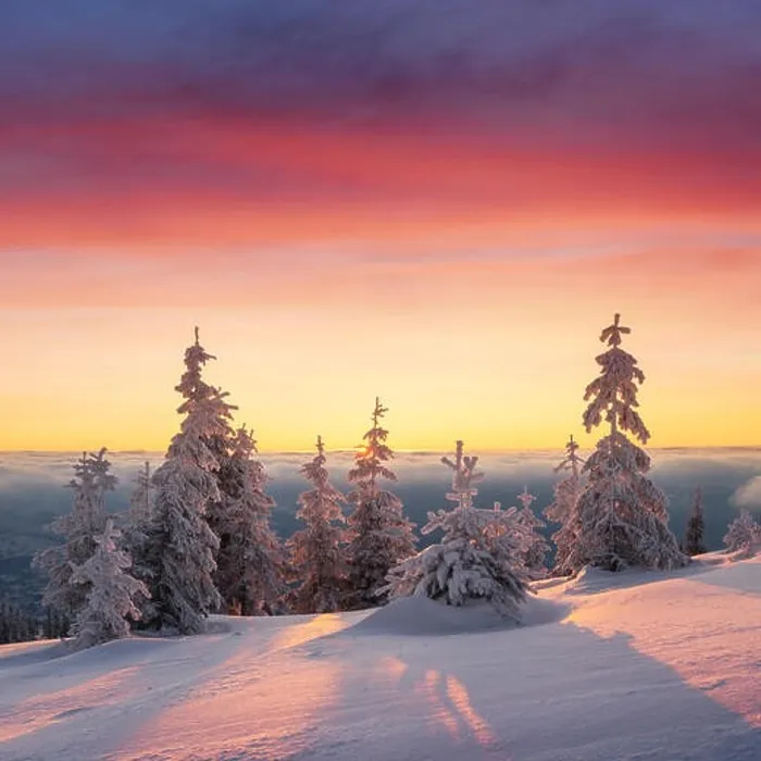 Framed Print : Fantastic orange winter landscape in snowy mountains glowing by sunlight. Dramatic wintry scene with snowy trees. Christmas holiday concept Framed Print : Fantastic orange winter landscape in snowy mountains glowing by sunlight. Dramatic wintry scene with snowy trees. Christmas holiday concept