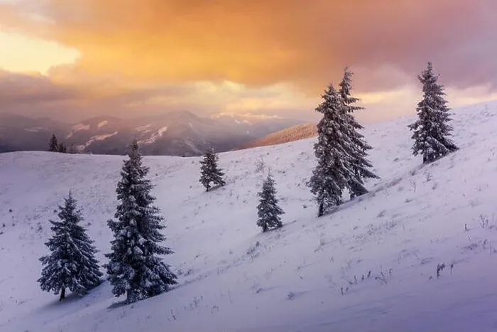 Framed Print : Fantastic orange winter landscape in snowy mountains glowing by sunlight. Dramatic wintry scene with snowy trees. Christmas holiday concept. Carpathia Framed Print : Fantastic orange winter landscape in snowy mountains glowing by sunlight. Dramatic wintry scene with snowy trees. Christmas holiday concept. Carpathia
