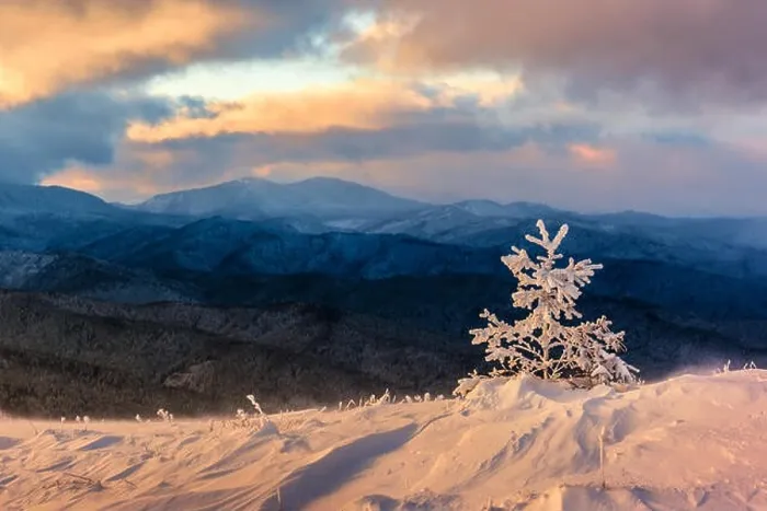Framed Print : Fantastic orange winter landscape in snowy mountains glowing by sunlight. Dramatic wintry scene with snowy trees. Christmas holiday concept Framed Print : Fantastic orange winter landscape in snowy mountains glowing by sunlight. Dramatic wintry scene with snowy trees. Christmas holiday concept
