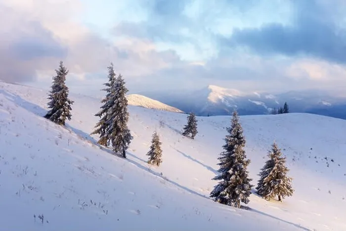 Framed Print : Fantastic orange winter landscape in snowy mountains glowing by sunlight. Dramatic wintry scene with snowy trees. Christmas holiday concept Framed Print : Fantastic orange winter landscape in snowy mountains glowing by sunlight. Dramatic wintry scene with snowy trees. Christmas holiday concept
