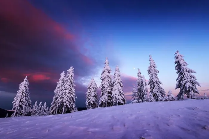 Framed Print : Fantastic orange winter landscape in snowy mountains glowing by sunlight. Dramatic wintry scene with snowy trees. Christmas holiday concept Framed Print : Fantastic orange winter landscape in snowy mountains glowing by sunlight. Dramatic wintry scene with snowy trees. Christmas holiday concept