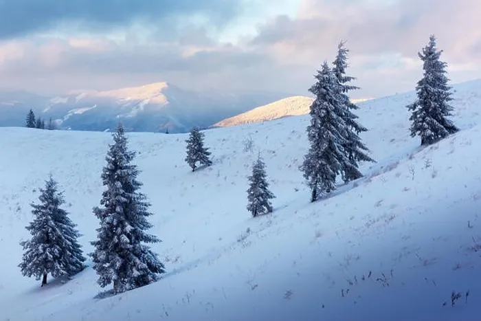 Framed Print : Fantastic orange winter landscape in snowy mountains glowing by sunlight. Dramatic wintry scene with snowy trees. Christmas holiday concept Framed Print : Fantastic orange winter landscape in snowy mountains glowing by sunlight. Dramatic wintry scene with snowy trees. Christmas holiday concept