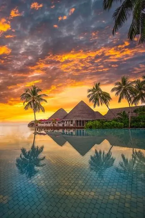 Framed Print : Fantastic poolside, sunset sky, palm trees reflection. Luxury tropical beach landscape, infinity swimming pool. Amazing travel background, vertical Framed Print : Fantastic poolside, sunset sky, palm trees reflection. Luxury tropical beach landscape, infinity swimming pool. Amazing travel background, vertical