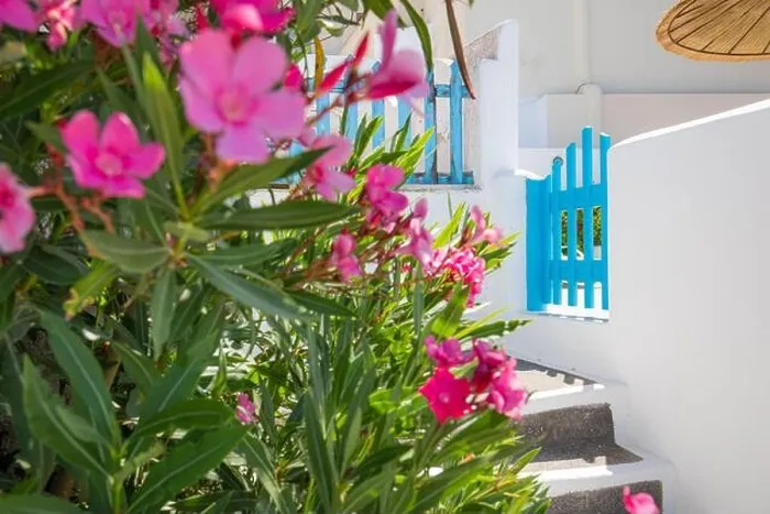 Framed Print : Fantastic travel background, Santorini urban street landscape. Blue door or gate stairs and white architecture under sunny sky. Amazing summer scene Framed Print : Fantastic travel background, Santorini urban street landscape. Blue door or gate stairs and white architecture under sunny sky. Amazing summer scene