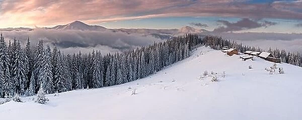 Fantastic winter landscape with dramatic sky and snowy trees. Carpathians, Ukraine, Europe
