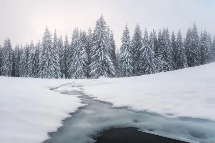 Framed Print : Fantastic winter landscape with frozen river and snowy trees in foggy mountains. Carpathian mountains, Ukraine, Europe. Christmas holiday concept Framed Print : Fantastic winter landscape with frozen river and snowy trees in foggy mountains. Carpathian mountains, Ukraine, Europe. Christmas holiday concept