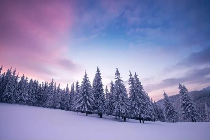 Framed Print : Fantastic winter landscape in snowy mountains glowing by morning sunlight. Dramatic wintry scene with frozen snowy trees at sunrise Framed Print : Fantastic winter landscape in snowy mountains glowing by morning sunlight. Dramatic wintry scene with frozen snowy trees at sunrise