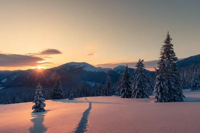 Framed Print : Fantastic winter landscape in snowy mountains glowing by morning sunlight. Dramatic wintry scene with frozen snowy trees at sunrise Framed Print : Fantastic winter landscape in snowy mountains glowing by morning sunlight. Dramatic wintry scene with frozen snowy trees at sunrise