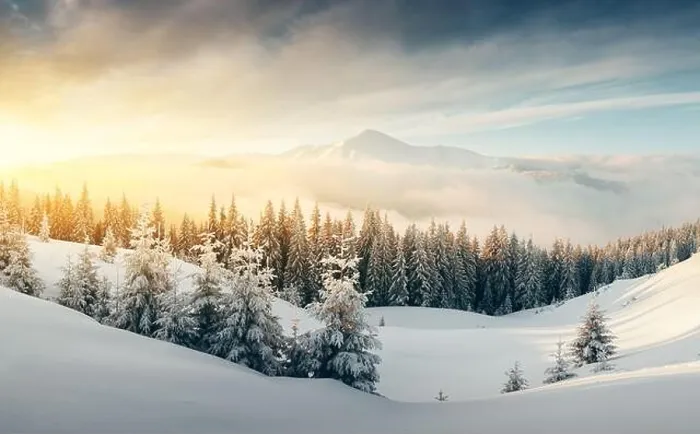 Framed Print : Fantastic winter landscape in snowy mountains glowing by morning sunlight. Dramatic wintry scene with frozen snowy trees at sunrise Framed Print : Fantastic winter landscape in snowy mountains glowing by morning sunlight. Dramatic wintry scene with frozen snowy trees at sunrise
