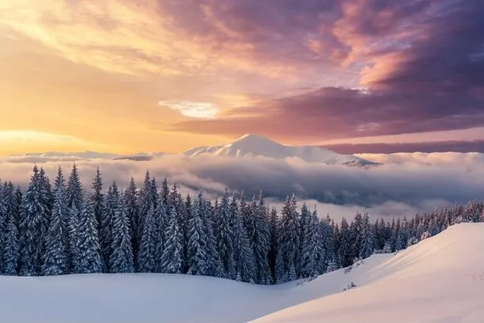 Framed Print : Fantastic winter landscape in snowy mountains glowing by morning sunlight. Dramatic wintry scene with snowy trees Framed Print : Fantastic winter landscape in snowy mountains glowing by morning sunlight. Dramatic wintry scene with snowy trees