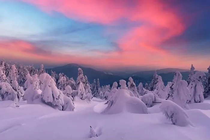 Framed Print : Fantastic winter landscape in snowy mountains glowing by morning sunlight. Dramatic wintry scene with frozen snowy trees at sunrise Framed Print : Fantastic winter landscape in snowy mountains glowing by morning sunlight. Dramatic wintry scene with frozen snowy trees at sunrise
