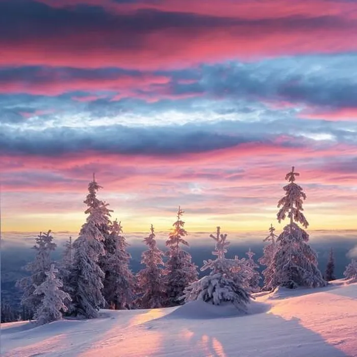 Framed Print : Fantastic winter landscape in snowy mountains glowing by morning sunlight. Dramatic wintry scene with frozen snowy trees at sunrise Framed Print : Fantastic winter landscape in snowy mountains glowing by morning sunlight. Dramatic wintry scene with frozen snowy trees at sunrise