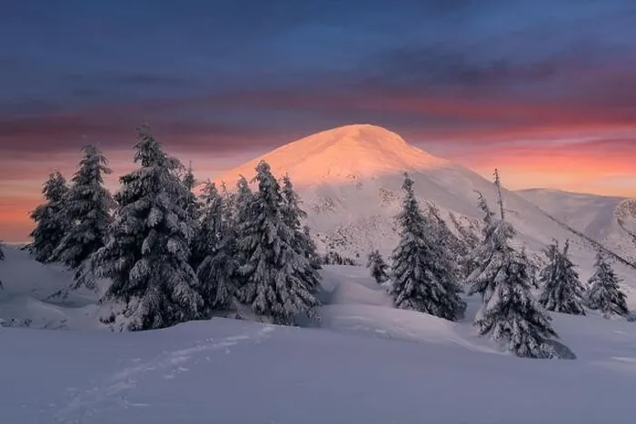 Framed Print : Fantastic winter landscape in snowy mountains glowing by morning sunlight. Dramatic wintry scene with frozen snowy trees at sunrise Framed Print : Fantastic winter landscape in snowy mountains glowing by morning sunlight. Dramatic wintry scene with frozen snowy trees at sunrise