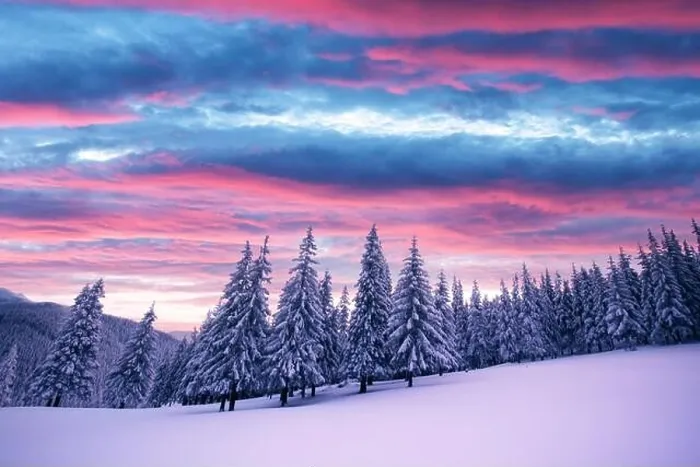 Framed Print : Fantastic winter landscape in snowy mountains glowing by morning sunlight. Dramatic wintry scene with frozen snowy trees at sunrise Framed Print : Fantastic winter landscape in snowy mountains glowing by morning sunlight. Dramatic wintry scene with frozen snowy trees at sunrise