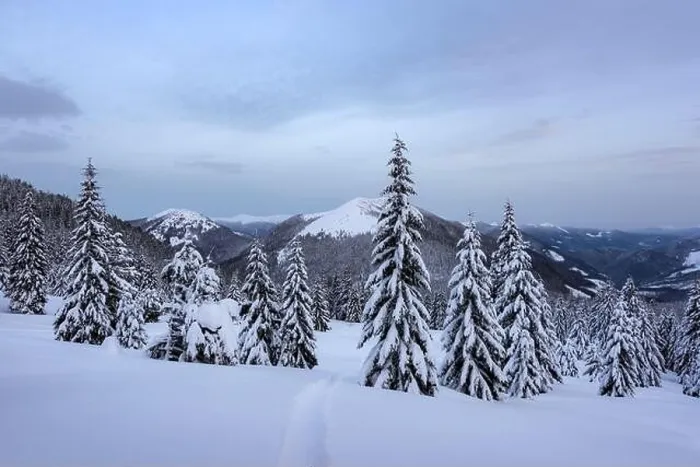 Framed Print : Fantastic winter landscape with snowy trees. Carpathian mountains, Ukraine, Europe. Christmas holiday concept Framed Print : Fantastic winter landscape with snowy trees. Carpathian mountains, Ukraine, Europe. Christmas holiday concept