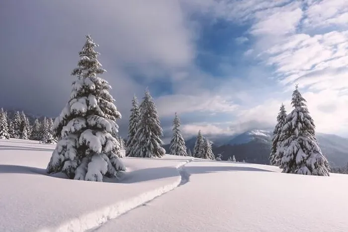 Framed Print : Fantastic winter landscape with snowy trees. Carpathian mountains, Ukraine, Europe. Christmas holiday concept Framed Print : Fantastic winter landscape with snowy trees. Carpathian mountains, Ukraine, Europe. Christmas holiday concept