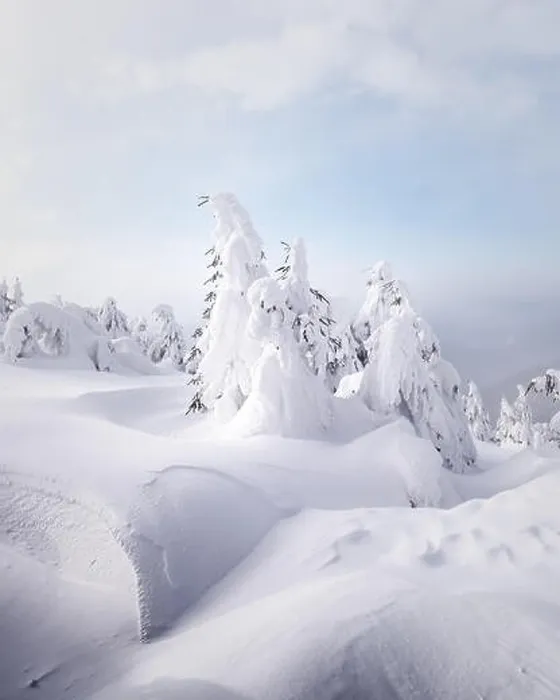 Framed Print : Fantastic winter landscape with snowy trees. Carpathian mountains, Ukraine, Europe. Christmas holiday concept Framed Print : Fantastic winter landscape with snowy trees. Carpathian mountains, Ukraine, Europe. Christmas holiday concept