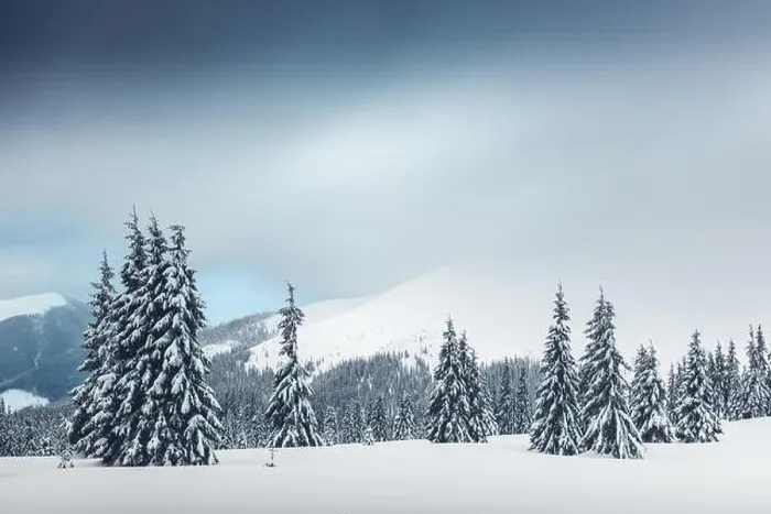 Framed Print : Fantastic winter landscape with snowy trees. Carpathian mountains, Ukraine, Europe. Christmas holiday concept Framed Print : Fantastic winter landscape with snowy trees. Carpathian mountains, Ukraine, Europe. Christmas holiday concept