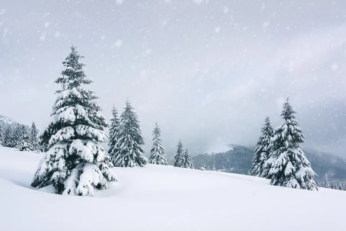 Framed Print : Fantastic winter landscape with snowy trees. Carpathian mountains, Ukraine, Europe. Christmas holiday concept Framed Print : Fantastic winter landscape with snowy trees. Carpathian mountains, Ukraine, Europe. Christmas holiday concept