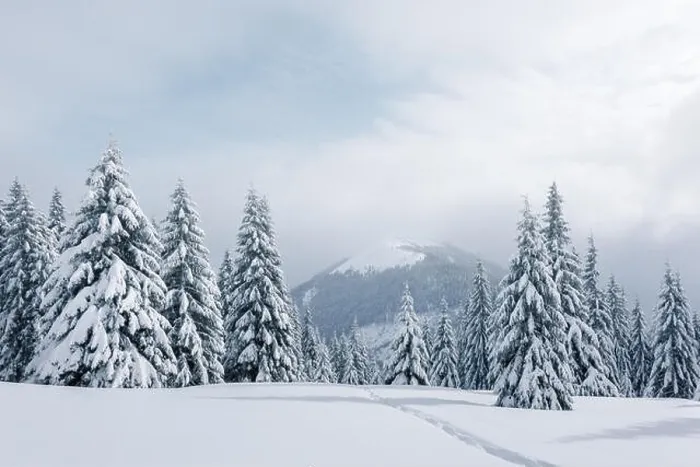 Framed Print : Fantastic winter landscape with snowy trees. Carpathian mountains, Ukraine, Europe. Christmas holiday concept Framed Print : Fantastic winter landscape with snowy trees. Carpathian mountains, Ukraine, Europe. Christmas holiday concept