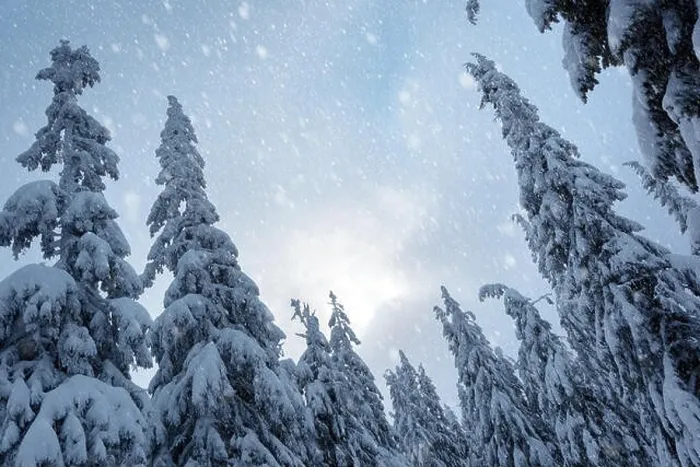 Framed Print : Fantastic winter landscape with snowy trees. Carpathian mountains, Ukraine, Europe. Christmas holiday concept Framed Print : Fantastic winter landscape with snowy trees. Carpathian mountains, Ukraine, Europe. Christmas holiday concept