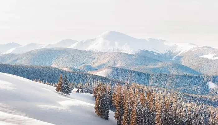 Framed Print : Fantastic winter landscape with snowy trees. Carpathian mountains, Ukraine, Europe. Christmas holiday concept Framed Print : Fantastic winter landscape with snowy trees. Carpathian mountains, Ukraine, Europe. Christmas holiday concept