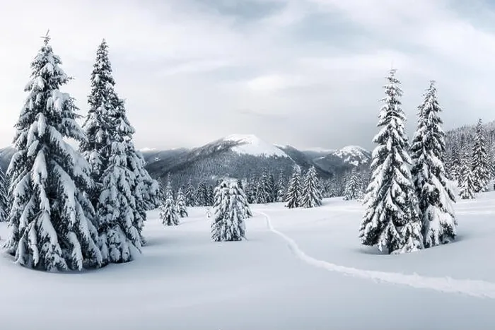 Framed Print : Fantastic winter landscape with snowy trees. Carpathian mountains, Ukraine, Europe. Christmas holiday concept Framed Print : Fantastic winter landscape with snowy trees. Carpathian mountains, Ukraine, Europe. Christmas holiday concept