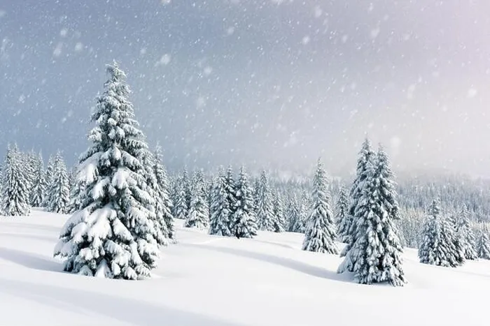 Framed Print : Fantastic winter landscape with snowy trees. Carpathian mountains, Ukraine, Europe. Christmas holiday background. Landscape photography Framed Print : Fantastic winter landscape with snowy trees. Carpathian mountains, Ukraine, Europe. Christmas holiday background. Landscape photography