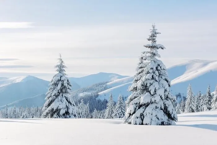 Framed Print : Fantastic winter landscape with snowy trees. Carpathian mountains, Ukraine, Europe. Christmas holiday background. Landscape photography Framed Print : Fantastic winter landscape with snowy trees. Carpathian mountains, Ukraine, Europe. Christmas holiday background. Landscape photography