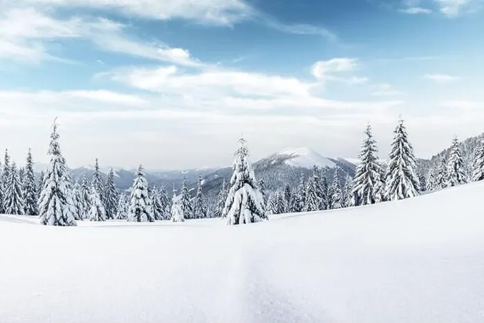 Framed Print : Fantastic winter landscape with snowy trees. Carpathian mountains, Ukraine, Europe. Christmas holiday background. Landscape photography Framed Print : Fantastic winter landscape with snowy trees. Carpathian mountains, Ukraine, Europe. Christmas holiday background. Landscape photography