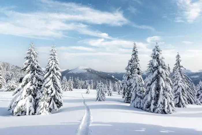 Framed Print : Fantastic winter landscape with snowy trees. Carpathian mountains, Ukraine, Europe. Christmas holiday background. Landscape photography Framed Print : Fantastic winter landscape with snowy trees. Carpathian mountains, Ukraine, Europe. Christmas holiday background. Landscape photography