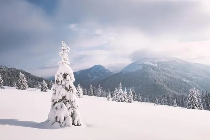Framed Print : Fantastic winter landscape with snowy trees. Carpathian mountains, Ukraine, Europe. Christmas holiday concept Framed Print : Fantastic winter landscape with snowy trees. Carpathian mountains, Ukraine, Europe. Christmas holiday concept