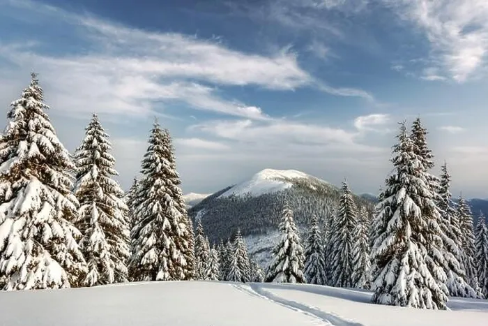 Framed Print : Fantastic winter landscape with snowy trees. Carpathian mountains, Ukraine, Europe. Christmas holiday concept Framed Print : Fantastic winter landscape with snowy trees. Carpathian mountains, Ukraine, Europe. Christmas holiday concept