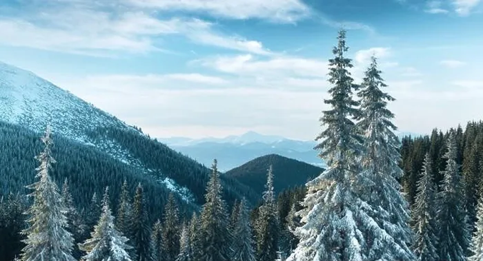 Framed Print : Fantastic winter landscape with snowy trees. Carpathian mountains, Ukraine, Europe. Christmas holiday concept Framed Print : Fantastic winter landscape with snowy trees. Carpathian mountains, Ukraine, Europe. Christmas holiday concept