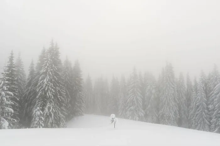 Framed Print : Fantastic winter landscape with snowy trees in foggy mountains. Carpathian mountains, Ukraine, Europe. Christmas holiday concept Framed Print : Fantastic winter landscape with snowy trees in foggy mountains. Carpathian mountains, Ukraine, Europe. Christmas holiday concept