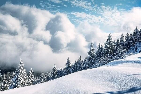 Fantastic winter landscape with snowy trees and incredible cloudscape. Carpathian mountains, Ukraine, Europe. Christmas holiday concept