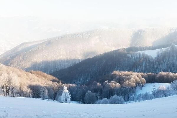 Fantastic winter landscape with snowy trees and snowy peaks. Carpathian mountains, Ukraine. Christmas holiday background. Landscape photography