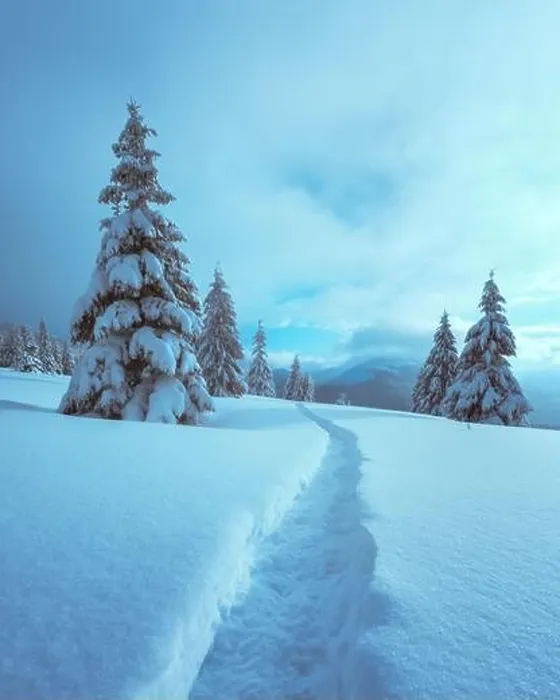 Framed Print : Fantastic winter landscape with snowy trees and snowy peaks. Carpathian mountains, Ukraine. Christmas holiday background. Landscape photography Framed Print : Fantastic winter landscape with snowy trees and snowy peaks. Carpathian mountains, Ukraine. Christmas holiday background. Landscape photography