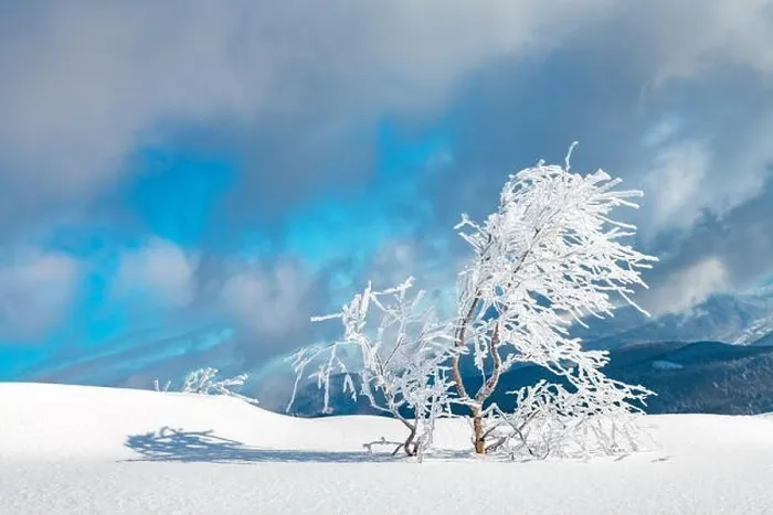 Framed Print : Fantastic winter landscape with snowy trees and snowy peaks. Carpathian mountains, Ukraine. Christmas holiday background. Landscape photography Framed Print : Fantastic winter landscape with snowy trees and snowy peaks. Carpathian mountains, Ukraine. Christmas holiday background. Landscape photography