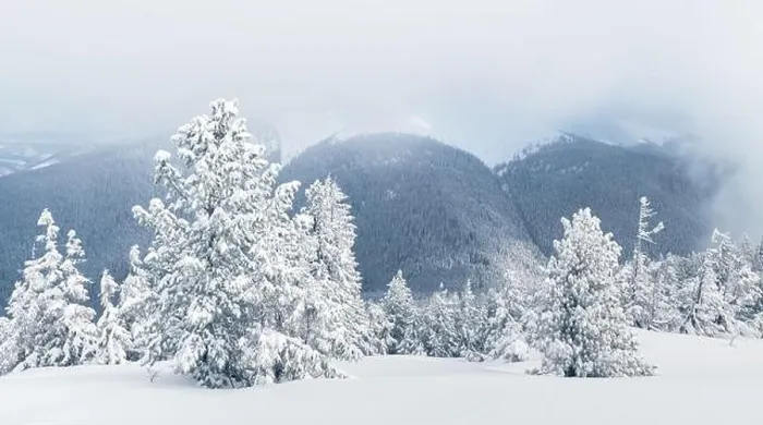 Framed Print : Fantastic winter landscape with snowy trees and snowy peaks. Carpathian mountains, Ukraine. Christmas holiday background. Landscape photography Framed Print : Fantastic winter landscape with snowy trees and snowy peaks. Carpathian mountains, Ukraine. Christmas holiday background. Landscape photography