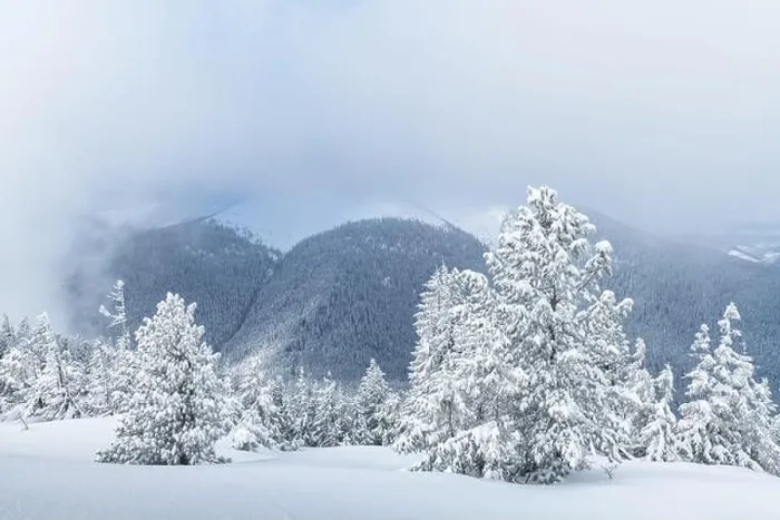 Framed Print : Fantastic winter landscape with snowy trees and snowy peaks. Carpathian mountains, Ukraine. Christmas holiday background. Landscape photography Framed Print : Fantastic winter landscape with snowy trees and snowy peaks. Carpathian mountains, Ukraine. Christmas holiday background. Landscape photography