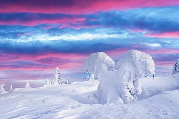 Framed Print : Fantastic winter landscape with snowy trees and sunrise pink sky. Lapland, Finland, Europe. Christmas holiday concept Framed Print : Fantastic winter landscape with snowy trees and sunrise pink sky. Lapland, Finland, Europe. Christmas holiday concept