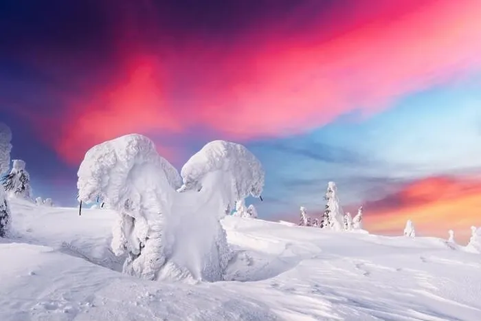Framed Print : Fantastic winter landscape with snowy trees and sunrise pink sky. Lapland, Finland, Europe. Christmas holiday concept Framed Print : Fantastic winter landscape with snowy trees and sunrise pink sky. Lapland, Finland, Europe. Christmas holiday concept