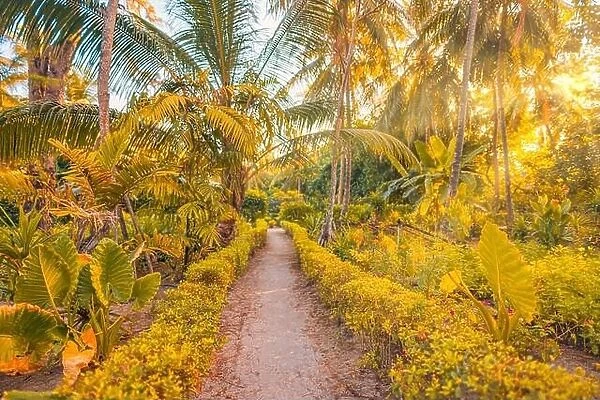 Fantasy mystical mossy forest nature. Tropical exotic nature landscape, palm tree leaves around forest pathway. Sun light, sun rays soft sand pathway