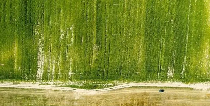 Framed Print : farm field, agriculture, view from above Framed Print : farm field, agriculture, view from above
