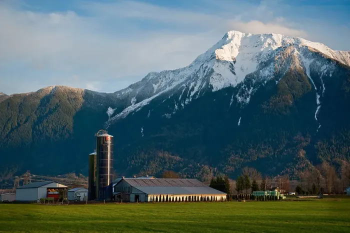 Framed Print : Farmland dominates the landscape of the Fraser Valley Framed Print : Farmland dominates the landscape of the Fraser Valley