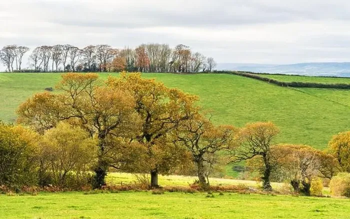 Framed Print : Farmlands, Meadows and Fields over Devon in the colors of fall, England, Europe Framed Print : Farmlands, Meadows and Fields over Devon in the colors of fall, England, Europe