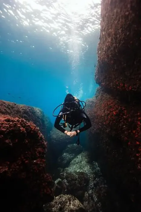 Framed Print : A female diver glides through a narrow underwater canyon Framed Print : A female diver glides through a narrow underwater canyon