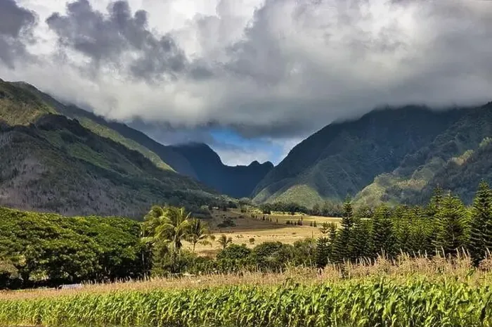 Framed Print : Fertile valley and mountains on the island of maui