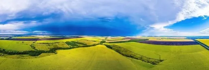 Framed Print : Field of sunflowers. Top view. Lines of sunflowers. Drone photography. Yellow green background. High quality photo Framed Print : Field of sunflowers. Top view. Lines of sunflowers. Drone photography. Yellow green background. High quality photo